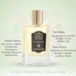 GREENY BLEND 50ml. Extrait De Parfüm | Taze ve Yeşil Bitki Esintileriyle - Görsel 2